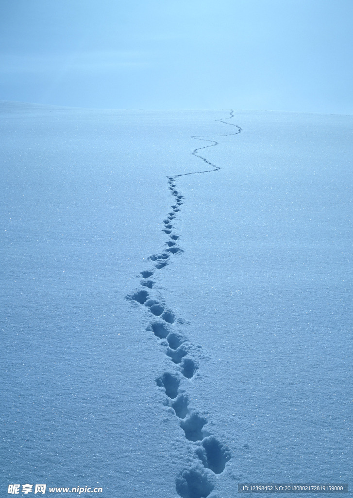 雪地脚印
