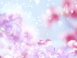 唯美花纹