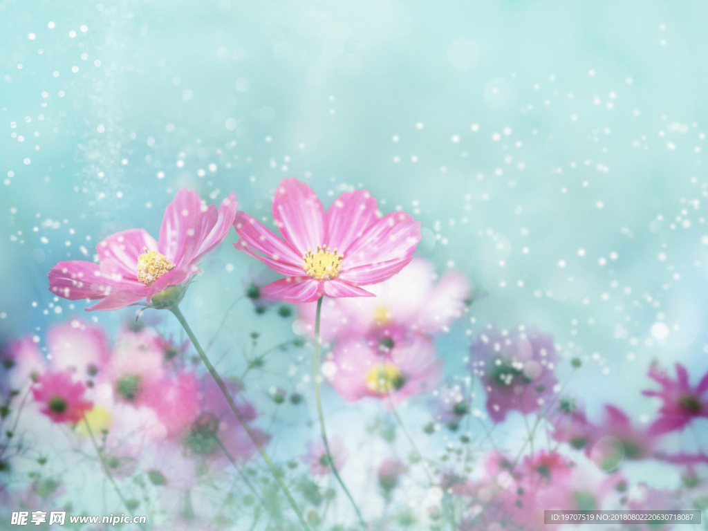 花朵背景