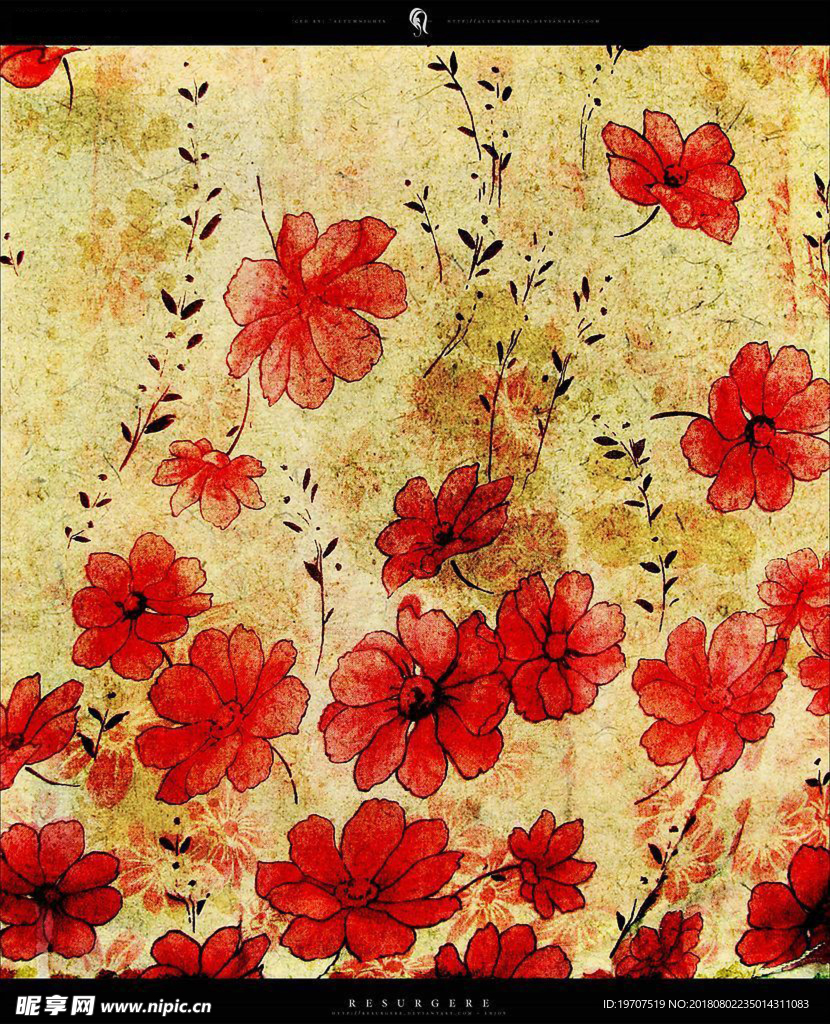 花底纹