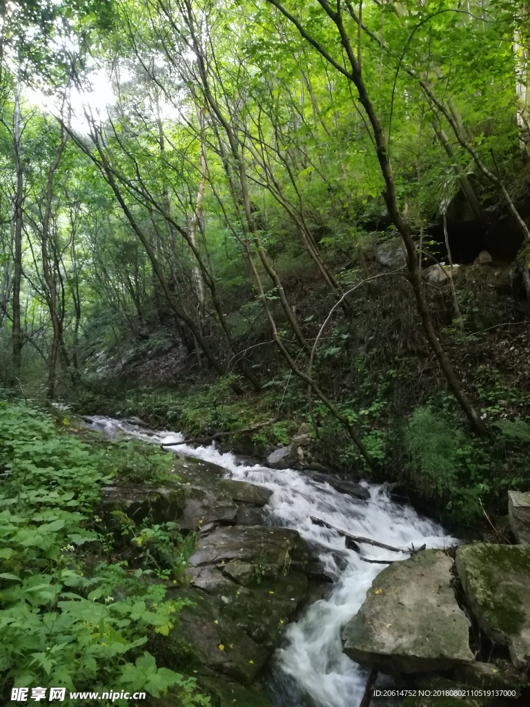 山涧溪流