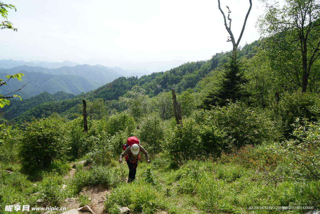 穿越高山丛林