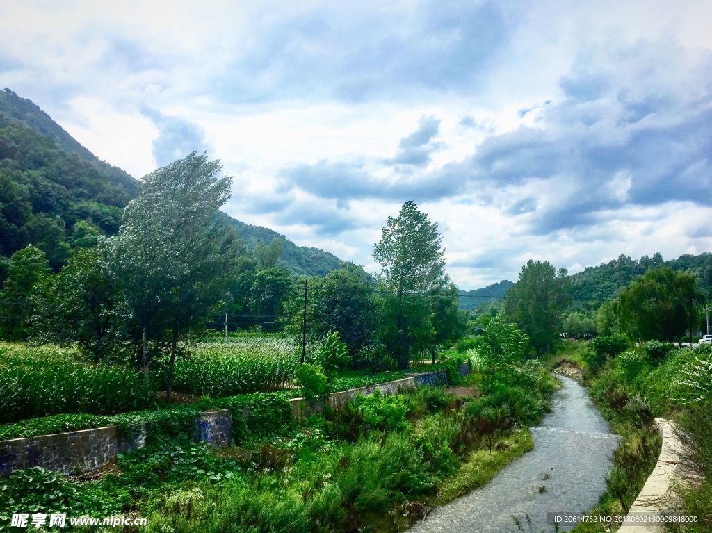 乡村河道风光