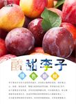 李子海报