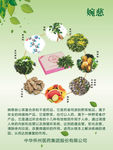 婉慈救心菜