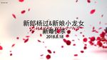 花瓣婚礼视频片头AE模板