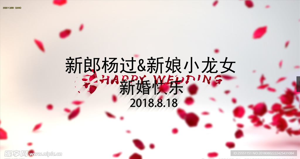 花瓣婚礼视频片头AE模板