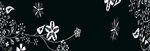 黑白花