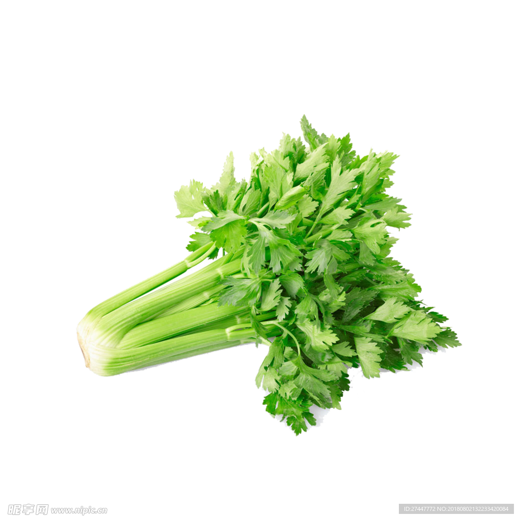 芹菜