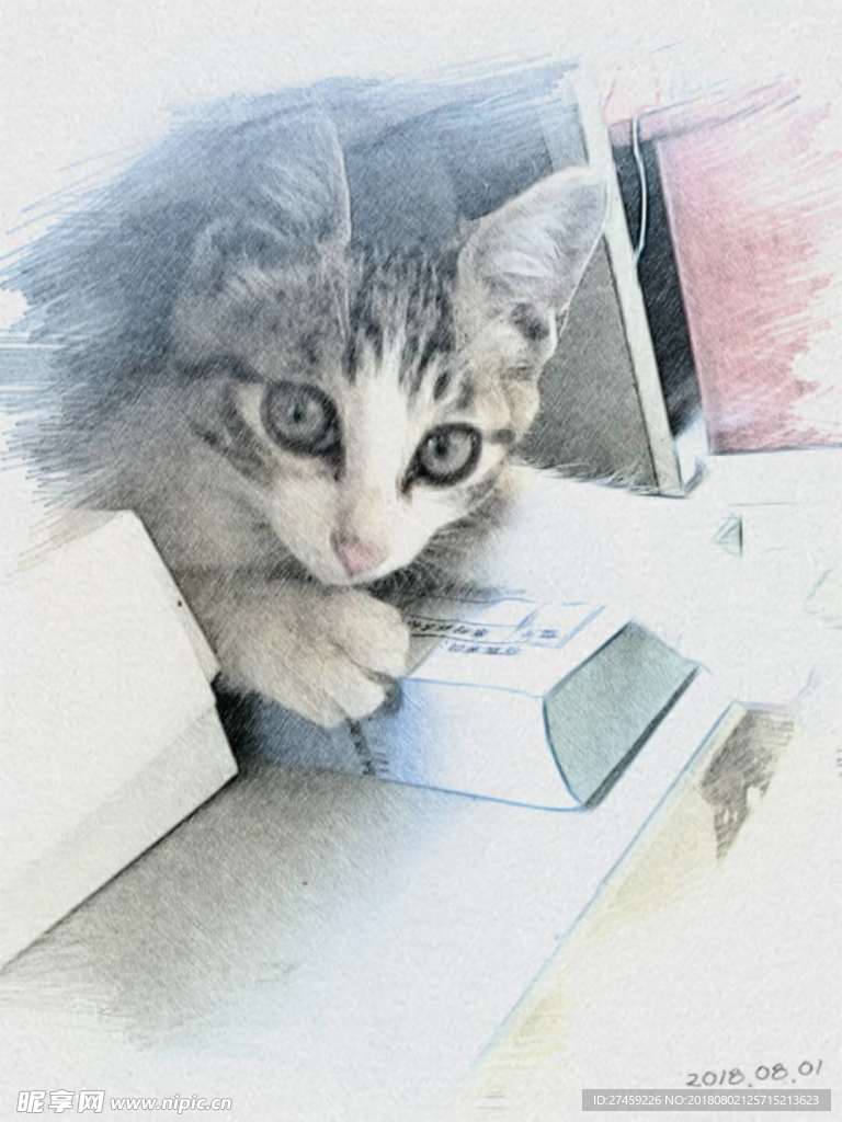 猫 可爱 素描 彩铅