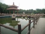 旅游摄影
