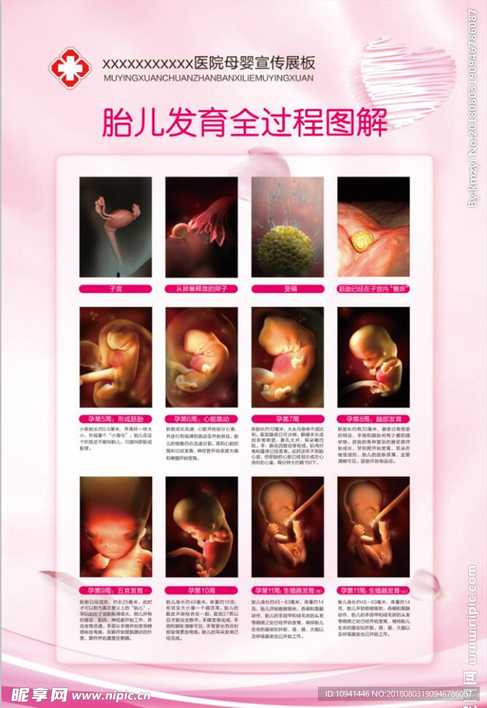 母婴展板