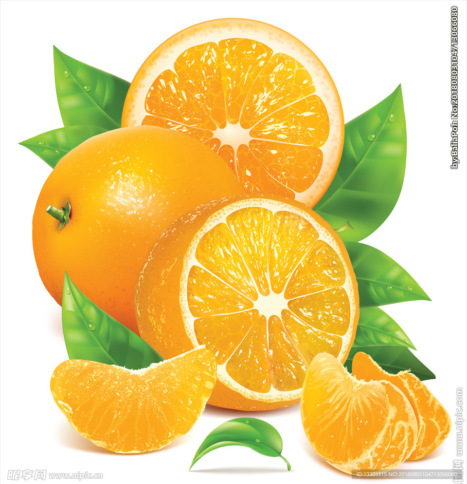 橙子矢量素材