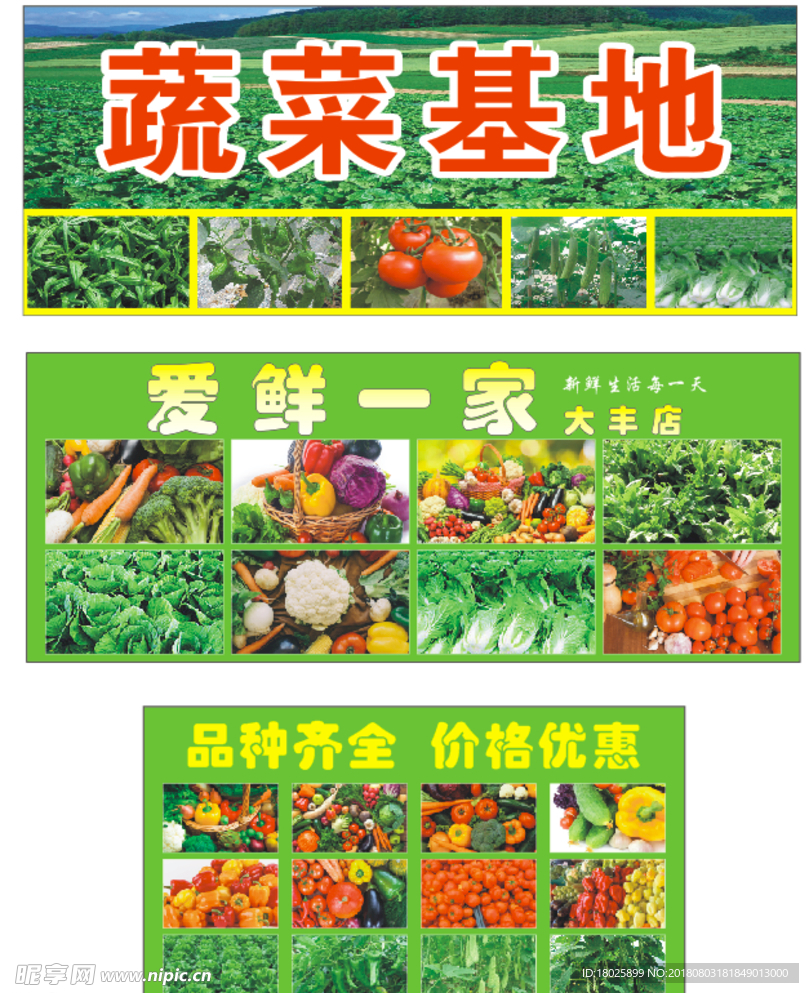 蔬菜基地