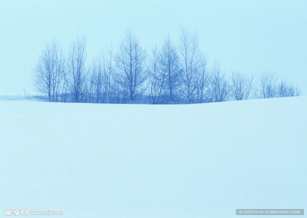 雪景