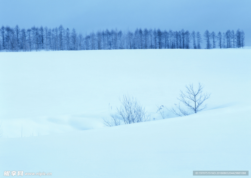 雪景
