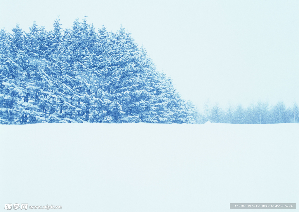 雪景