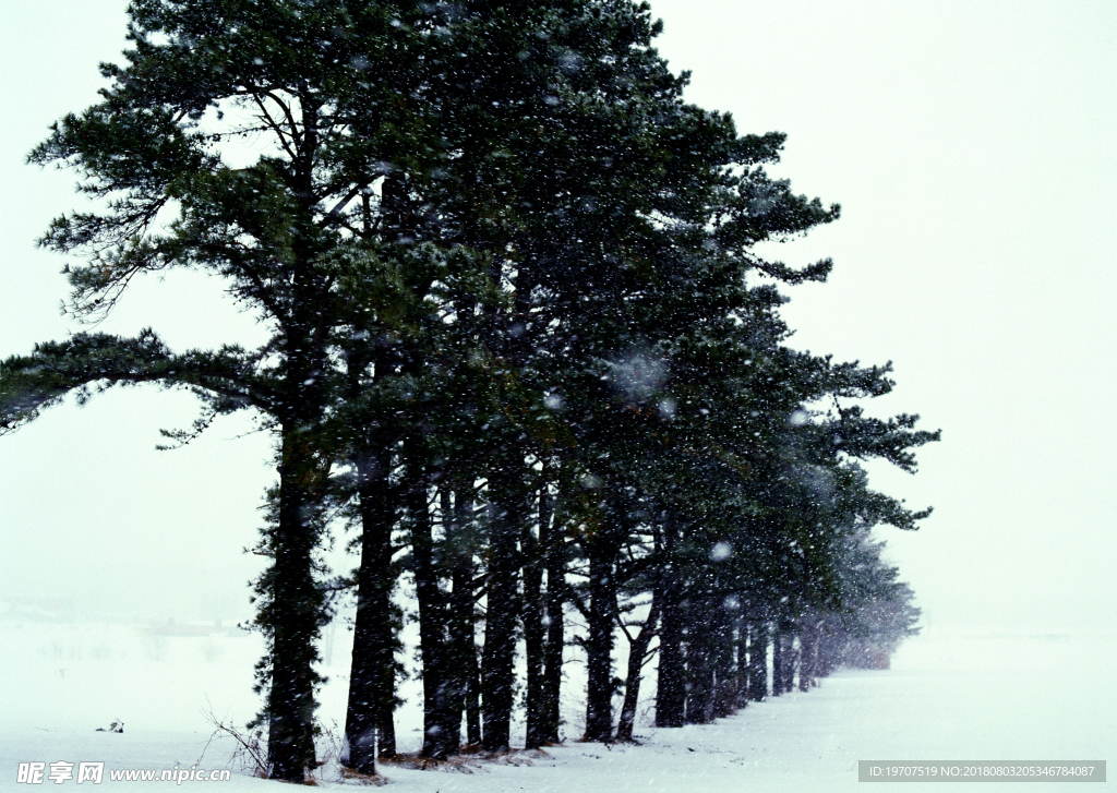 雪景