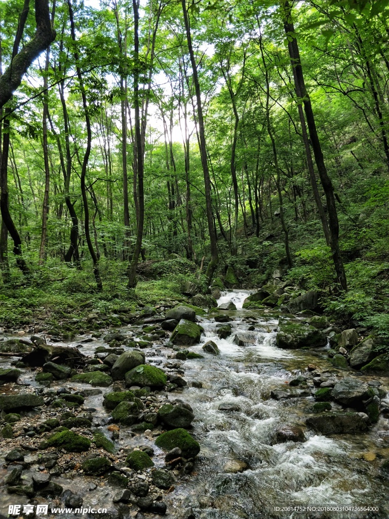 山涧溪流