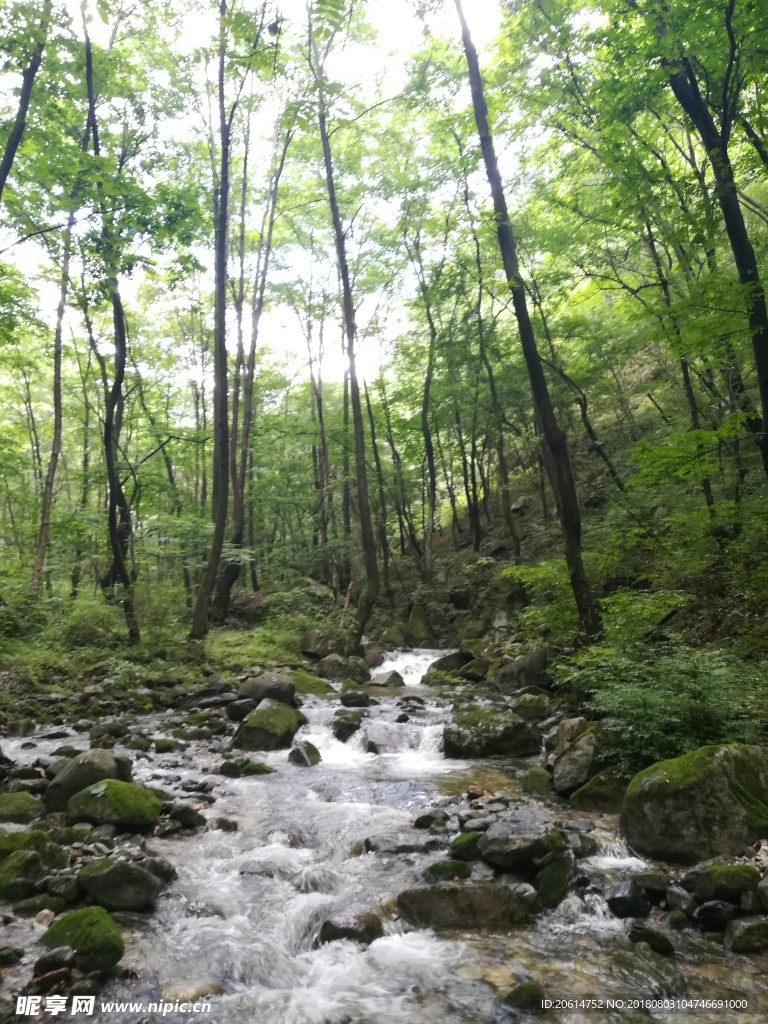 山涧溪流