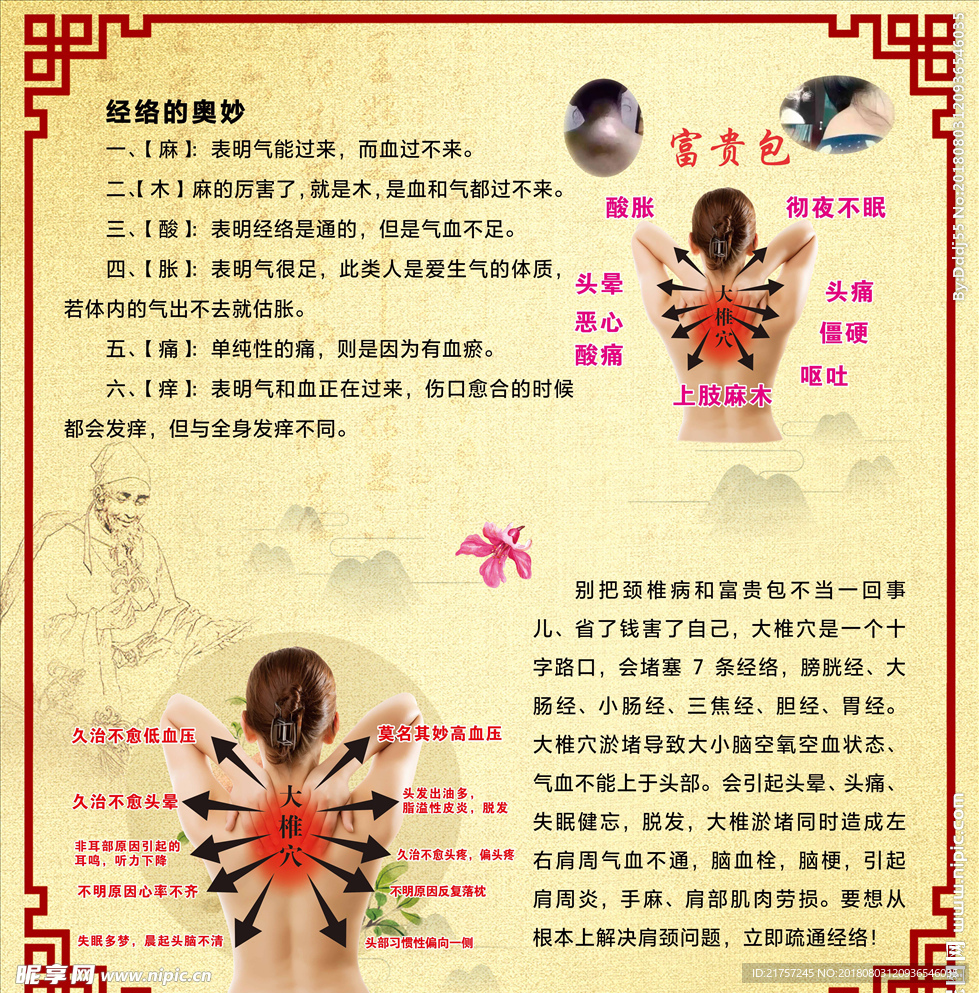 经络养生理疗宣传画面