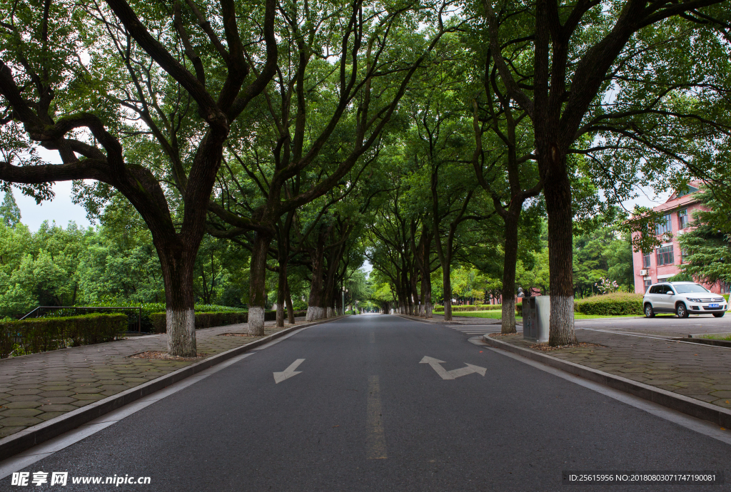 湖南农业大学