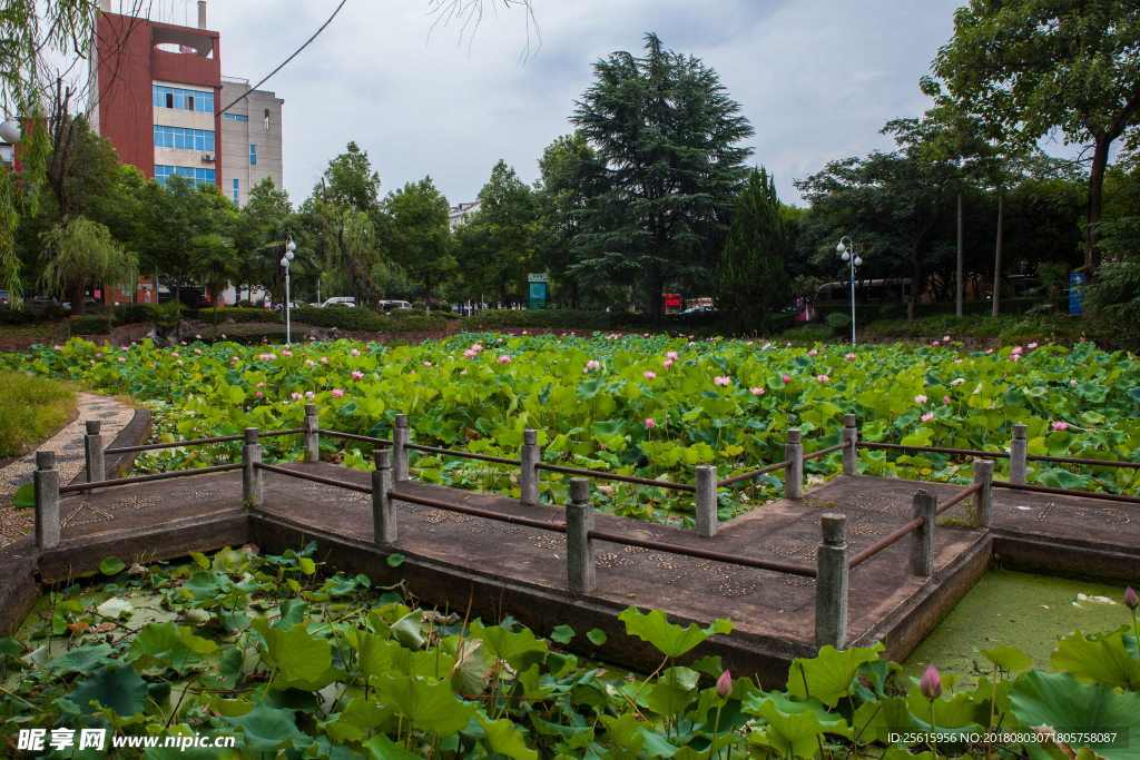 湖南农业大学