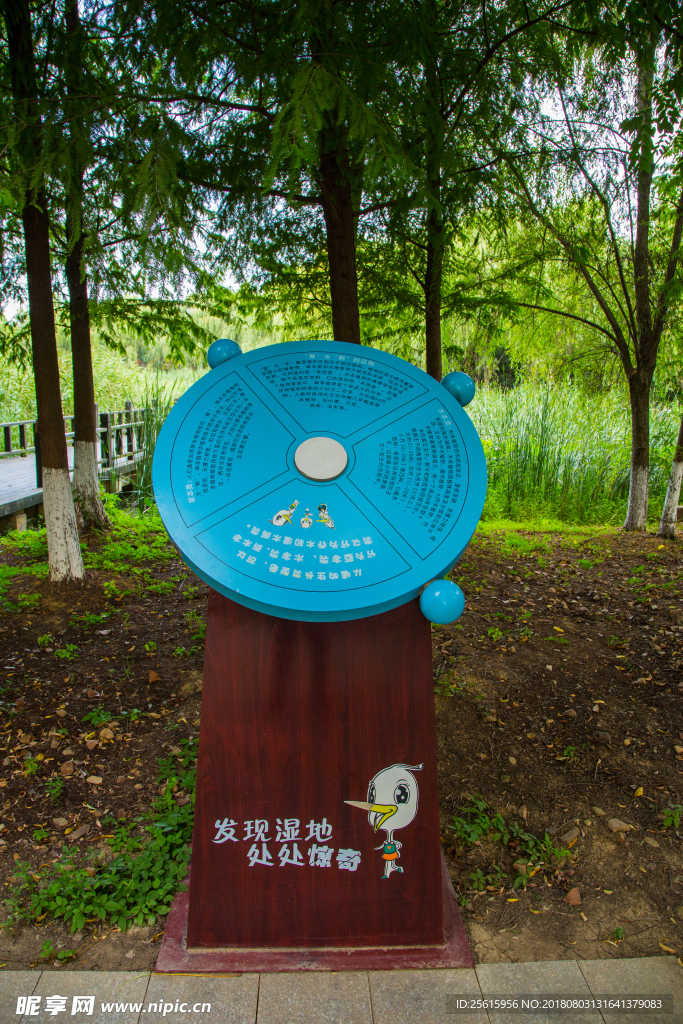 洋湖湿地公园