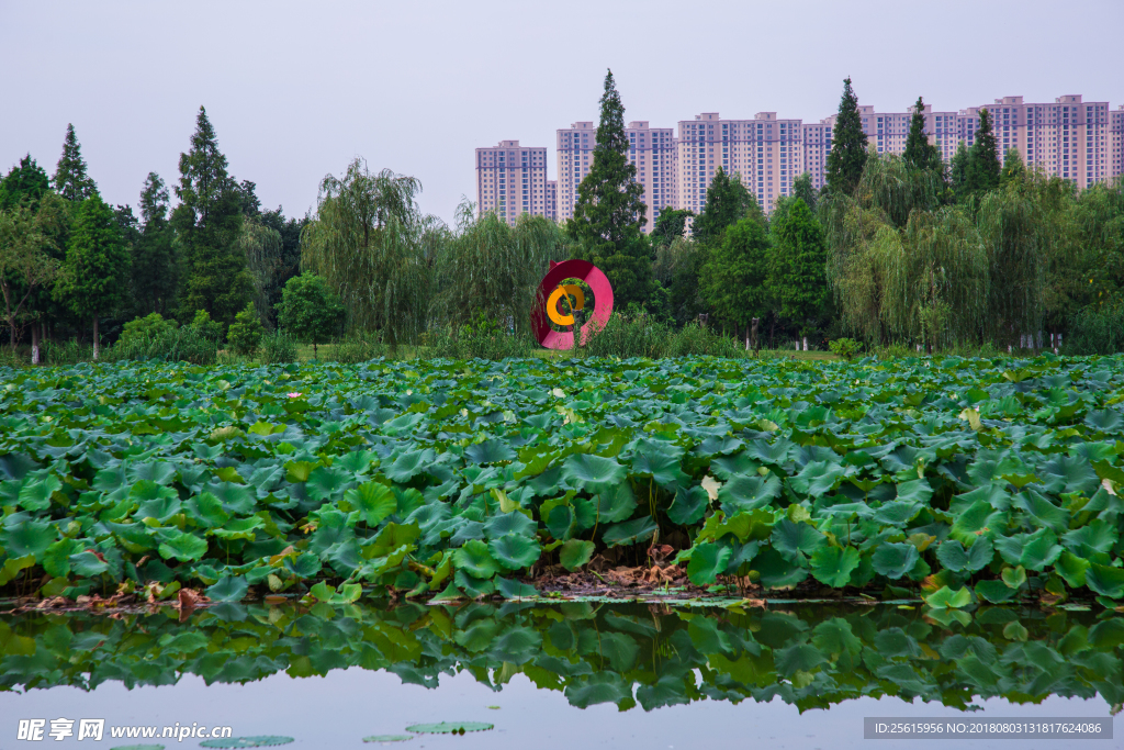 洋湖湿地公园