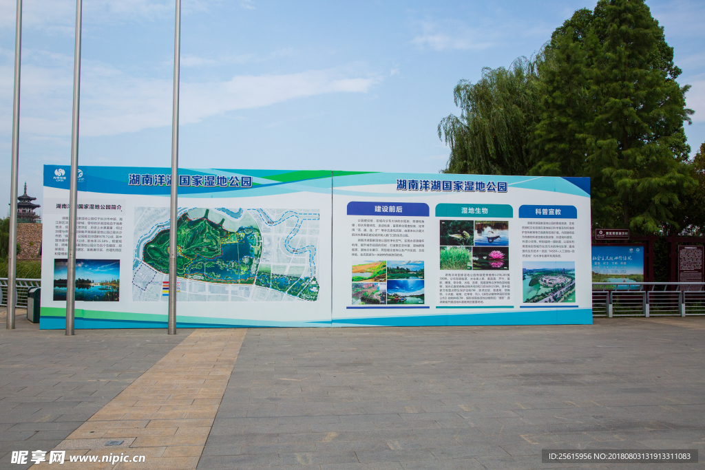 洋湖湿地公园