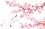 梅花素材
