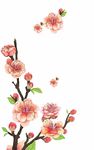 鲜花素材