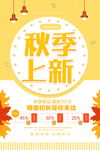 秋季上新