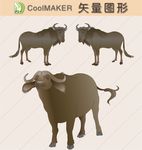 矢量动物