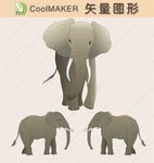 矢量动物