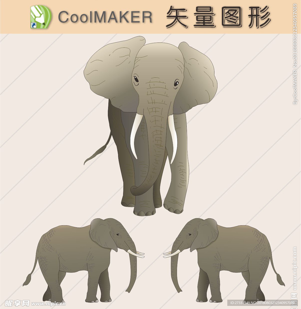 矢量动物