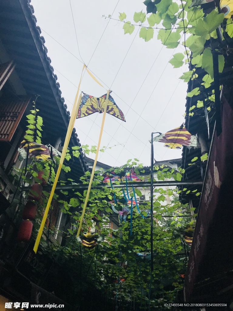角落里的美丽