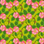 花纹