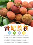 荔枝海报