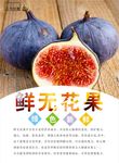 无花果海报