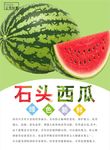 西瓜海报