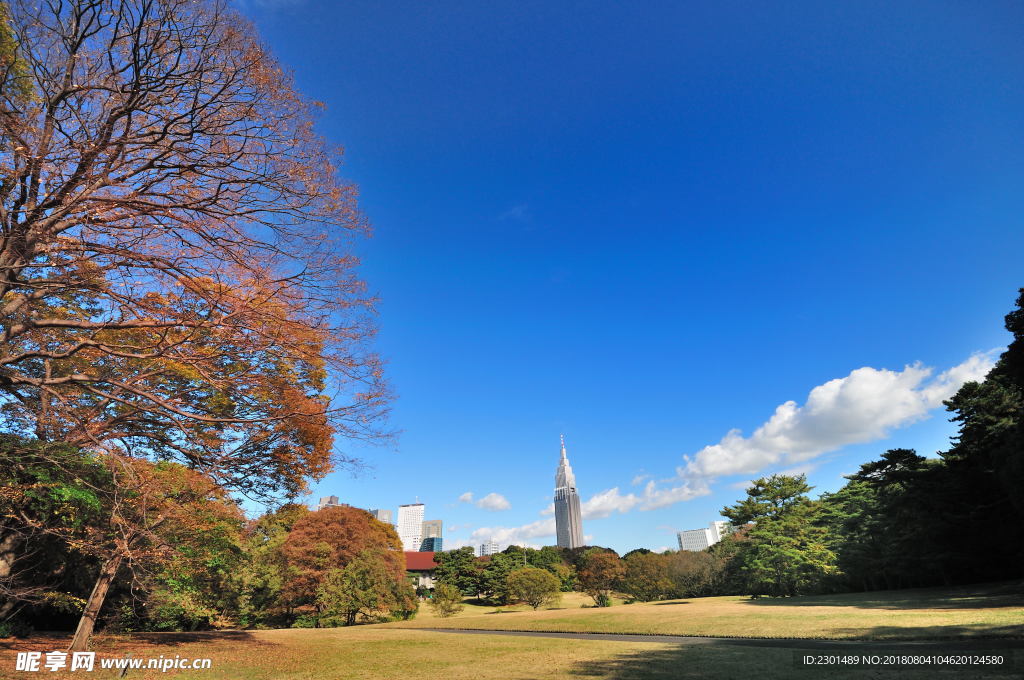 公园城市