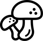 蘑菇素材