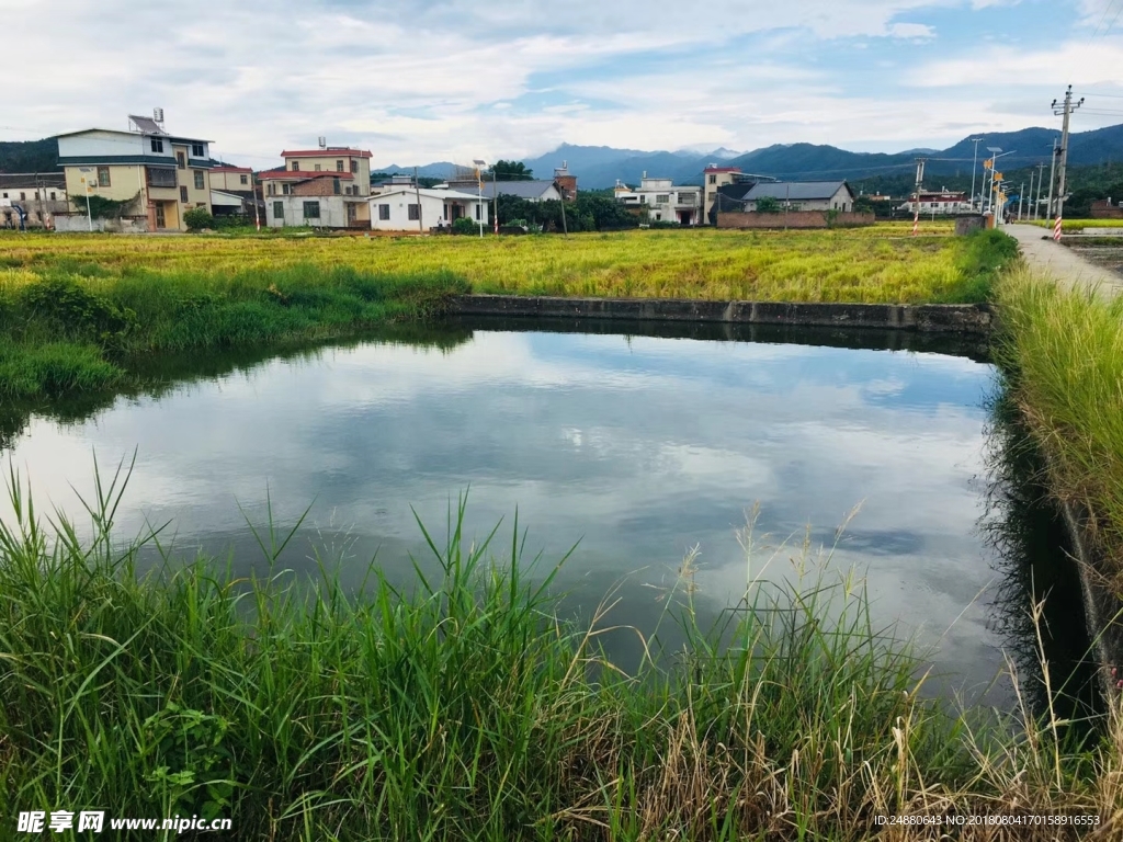 田园风景