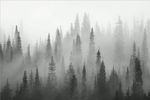 黑白素雅简约森林背景底纹素材