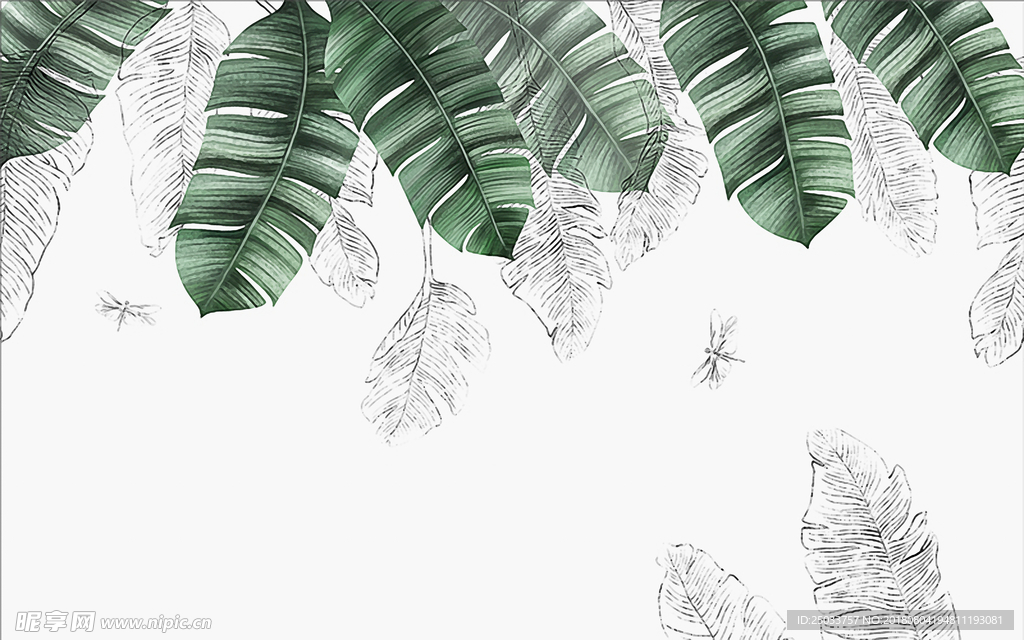 清新手绘素描芭蕉北欧墙面艺术背
