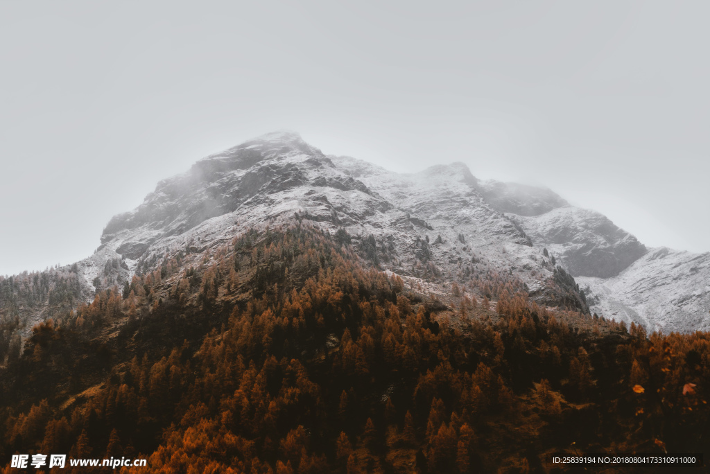 风景 壁纸  壁画 山水 森林