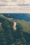 风景 壁纸  壁画 山水 森林
