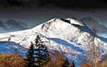 高山 山峰 雪山 森林  树林