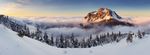高山 山峰 雪山 森林  树林